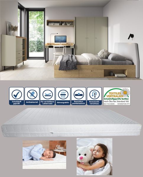 Jugendzimmer Ara in Eukalyptus und Eiche – Moderne Möbel Komplett-Sets in verschiedenen Set-Varianten oder als Einzelmöbel - 7 teilig , Kleiderschrank · Kommode · Schreibtisch · Jugendbett 90 × 200 cm · Matratzenauflage · Wandregal · Kaltschaummatratze