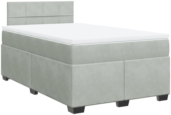 vidaXL Boxspringbett mit Matratze Hellgrau 120x200 cm Samt 3286282