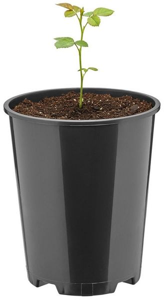 Garronda Blumentopf rund Kunststoff mit Drainagelöchern für Garten GD-0204 (1 St)