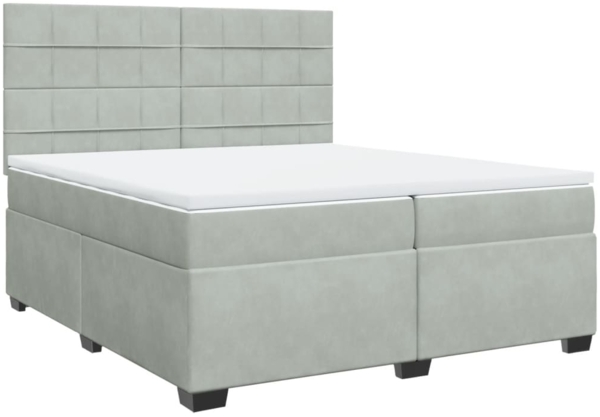 vidaXL Boxspringbett mit Matratze Hellgrau 200x200 cm Samt 3291002