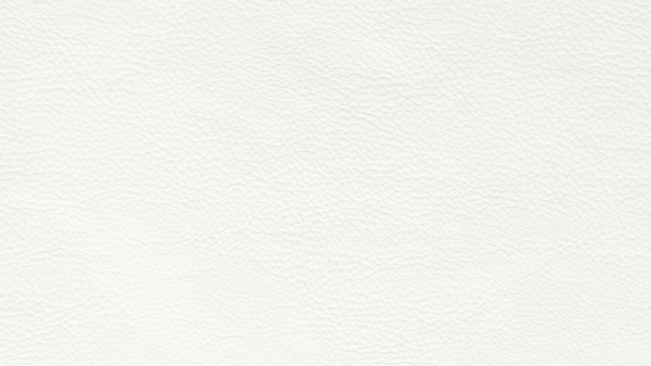 Meisterbetten Boxspringbett Tela 140x220 in KL-White, Matratzenbezug Nano, Ergoflex-Topper Bild 2