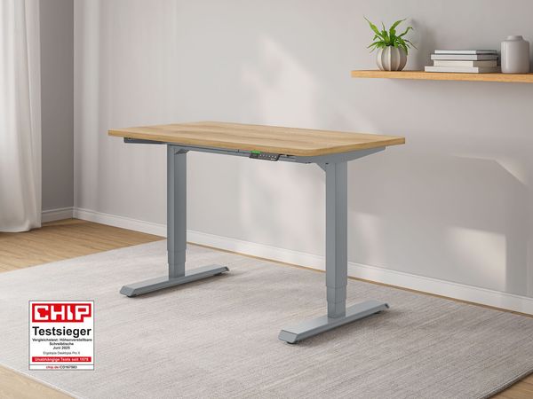 Ergotopia höhenverstellbarer Schreibtisch Desktopia Pro X mit Memory Funktion, Eiche Echtholz massiv, 120x80 cm, Grau