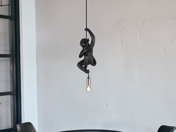 Kleine Pendelleuchte FIPS einflammig Affenlampe Schwarz, Breite 14,5cm