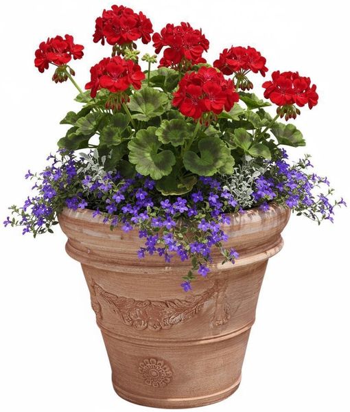 Pflanzgefäß Terrakotta Modell "Doppio Bordo Festonato" 41cm frostfesrt