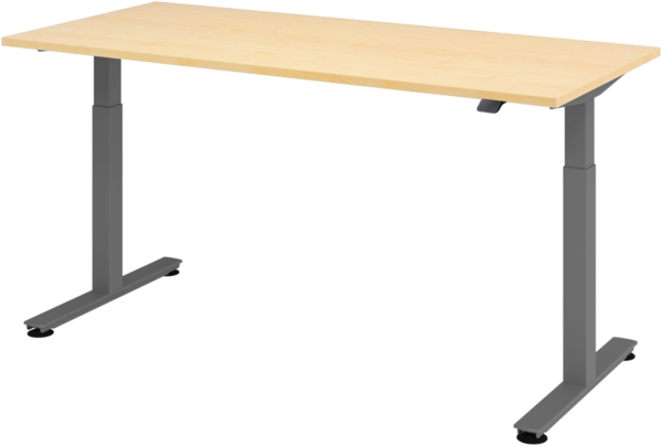 bümö elektrisch höhenverstellbarer Schreibtisch Ahorn 180x80 cm, Gestell: Graphit - Büroschreibtisch höhenverstellbar elektrisch, elektrischer Bürotisch & Gaming Tisch, Stehschreibtisch, XMST-19-3-G