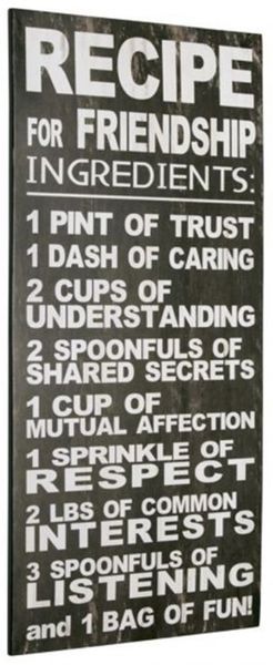 METALLSCHILD WANDBILD SCHILD ZUM HÄNGEN AUS METALL RETRO LOOK Friendship 60x30cm