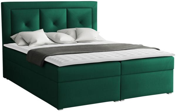 Boxspringbett Moden Plus Box, Grün, 160x200 cm