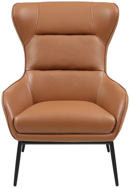 Vente-unique - DINNIA Sessel Leder Braun - B 95 cm x H 95 cm x L 69 cm