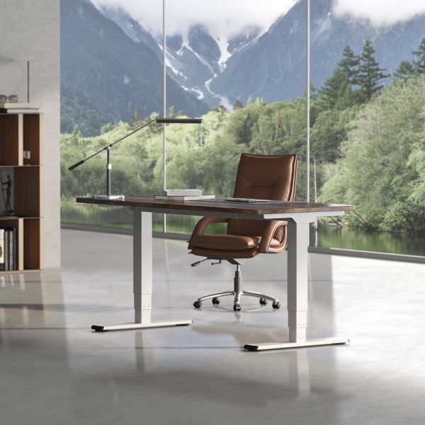 FLEXISPOT Schreibtisch Elektrisch höhenverstellbares Tischgestell (EC5 Serie) (Dual-Motor & 3-Fach-Teleskop & 4 Speicherhöhen), Antikollisionssystem, LED-Display, Max. Load: 100kg