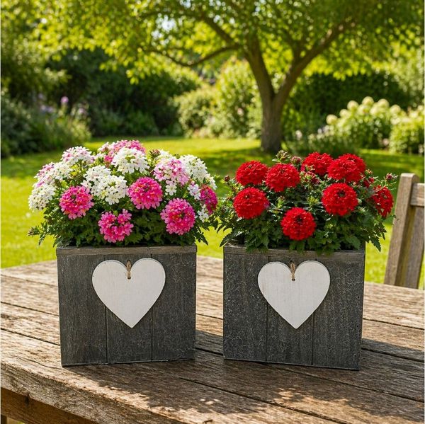 Online-Fuchs Blumentopf für draußen geeignet - 2er Set Blumenkasten aus Holz mit Herz (Weiß oder Grau, 15x15 cm groß), Dekoration für Wohnzimmer, Garten, Balkon oder Terrrasse