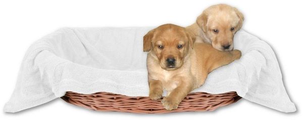 Bestlivings Tierdecke Hundedecke / Katzendecke, Kuscheldecke für Haustiere, Schlafplatz/-decke, versch. Variationen