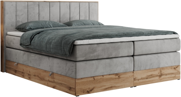 Boxspringbett BELLISSIMO KING, Doppelbett mit Multipocket-Matratze, Polsterbett mit Kopfstütze - 180 x 200 cm - Hellgrau Velvet - H4 Bild 4