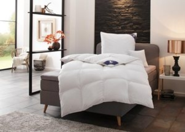 SPESSARTTRAUM Gänsedaunenbettdecke Premium****, hergestellt in Deutschland, Bettdecken für Sommer, Winter, Füllung: 100% Gänsedaunen, Klasse 1, Downpass zertifiziert, Bezug: 100% Baumwolle, nachhaltig (Made in Green), Hausstauballergiker geeignet, 4 Wä... Bild 6