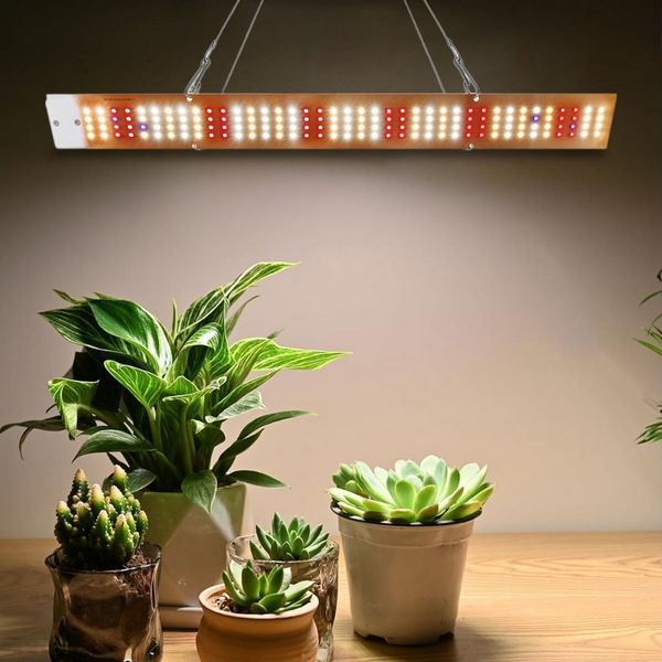 Rosnek Pflanzenlampe LED Vollspektrum 40–160W mit 156–624 LEDs, LED fest integriert, Ultra Bright, für Wachstum, Blüte & Zimmerpflanzen