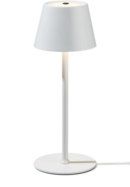 Tischleuchte LED AKKU (DH 12x31 cm)