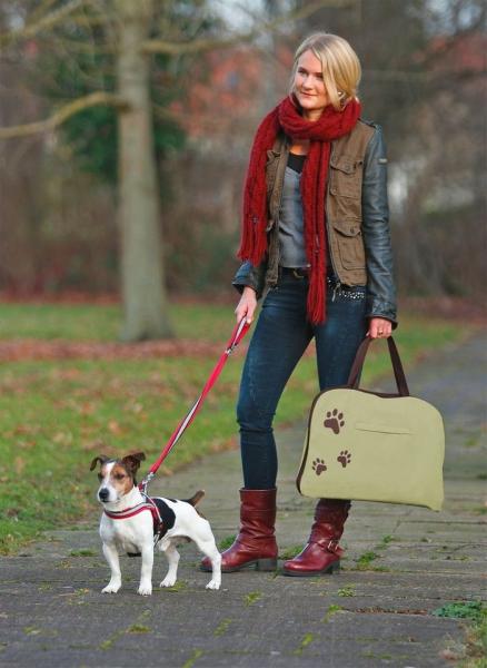 Tragbare Hundedecke Hunde-Taschenbett