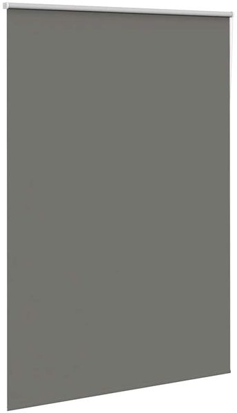 vidaXL Verdunkelungsrollo Grau 165x210cm Stoffbreite 161,6cm Polyester 4011193 Bild 2