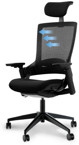 Ergotopia 'NextBack' ergonomischer Bürostuhl mit integrierter Lordosenstütze, Drehstuhl mit 3D Armlehnen & verstellbarer Kopfstütze, Schwarz