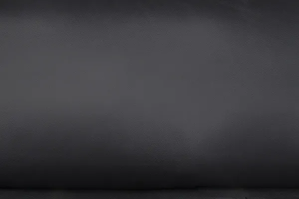 Vente-unique - Ledersofa 2-Sitzer - Büffelleder - Schwarz - MIMAS Bild 6
