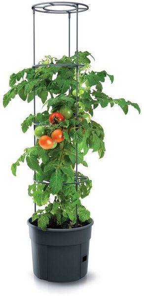 Spetebo Blumentopf Tomaten Pflanz Topf m. Rankhilfe - 153x29 cm (Stück, 1 St, Rankhilfe), Anwuchshilfe mit integriertem Bewässerungsboden