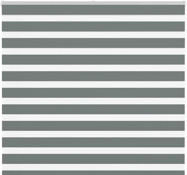 vidaXL Doppelrollo Dunkelgrau 155x150 cm Stoffbreite 150,9 cm Polyester 4014142