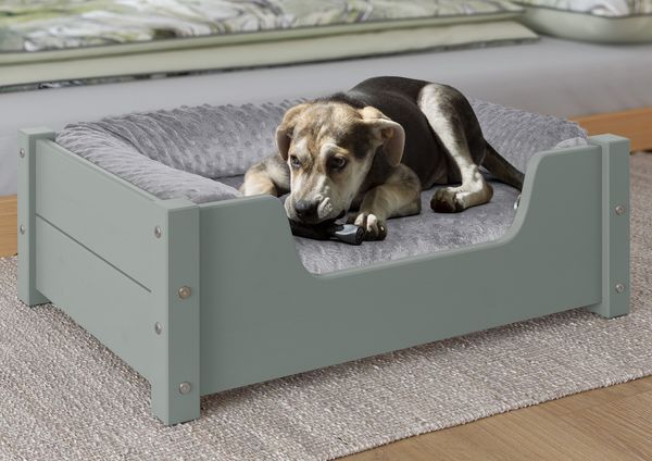 Gemütliches Tierbett für Katzen und Hunde 60x40 Kiefer grau V-30.32-G-60x40Rollrost inkl.