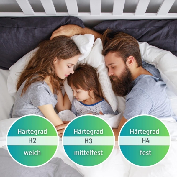 MSS e.K. "Revasana Premium" 7 Zonen Matratze H3 - 200x100 cm"" Bild 5