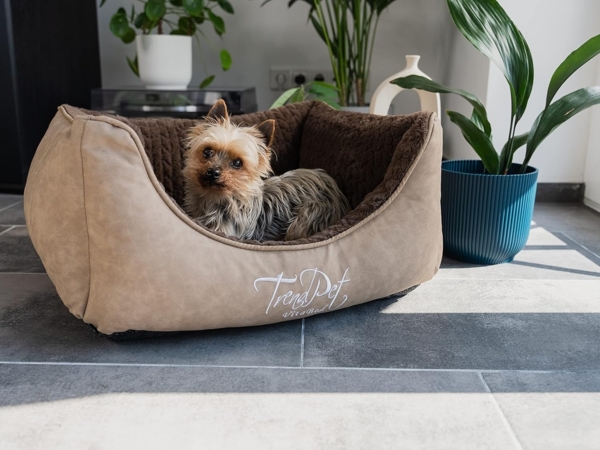 TrendPet Tierbett VitaBed Style Braun - Orthopädisches Hundebett, 100% Polyester, 5cm Matratze aus Memory Foam Bild 2