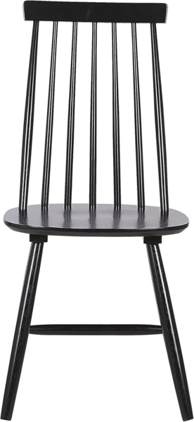 Esszimmerstuhl schwarz 2er Set BURBANK