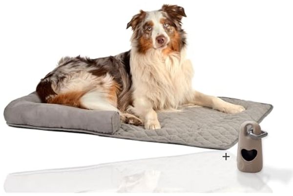Rohrschneider Tierdecke Couchkissen Hund Hundebett Sofaschutz Möbelschutz Kofferraumschutz, Gesteppt, mit Rand