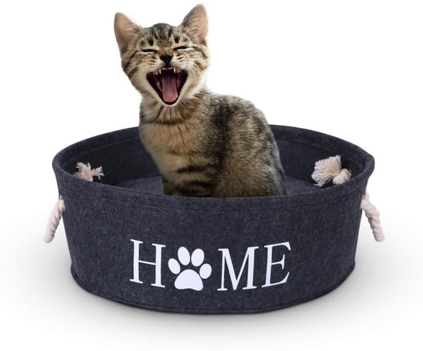 Bestlivings Tierbett Katzenkorb Ø40cm + Kissen, Katzenbett - Katzenschlafplatz aus Filz, Filzbett für Katzen