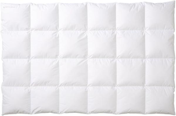 Centa-Star 5116.06 Moonlight Kassettenbett 4 x 6,2 cm, Steg, warm, 240 x 220 cm