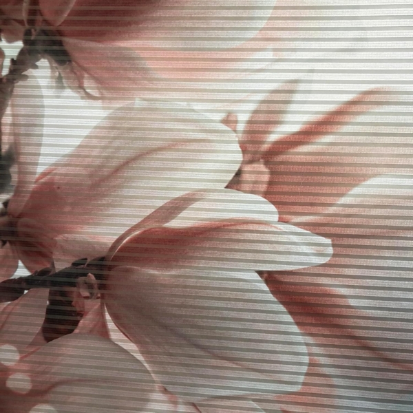 HOME in green Schiebegardine 84105 MORIGA Schiebegardine, recyc. Polyester 245x60 cm, Bambusoptik (2 St), Polyester (recycelt) Polyester Bild 1