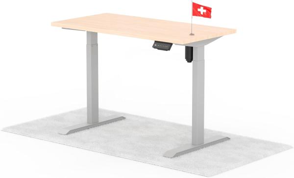 elektrisch höhenverstellbarer Schreibtisch ECO 120 x 60 cm - Gestell Grau, Platte Eiche