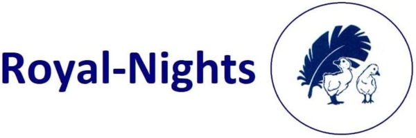 Betten Hofmann Parade Kissen Federkissen Kopfkissen extra fest 40x80 cm 800g Füllung Bild 6