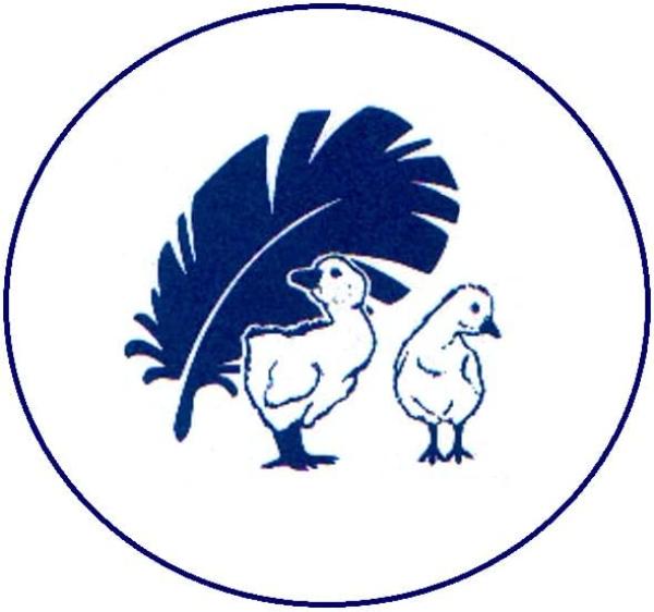 Betten Hofmann Parade Kissen Federkissen Kopfkissen extra fest 40x80 cm 800g Füllung Bild 5