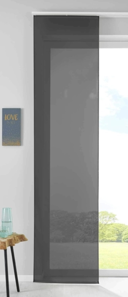 Gardinenbox Schiebegardine, Paneelwagen (1 St), transparent, Flächenvorhang Voile inkl. Paneelwagen Beschwerungsstange 85589N