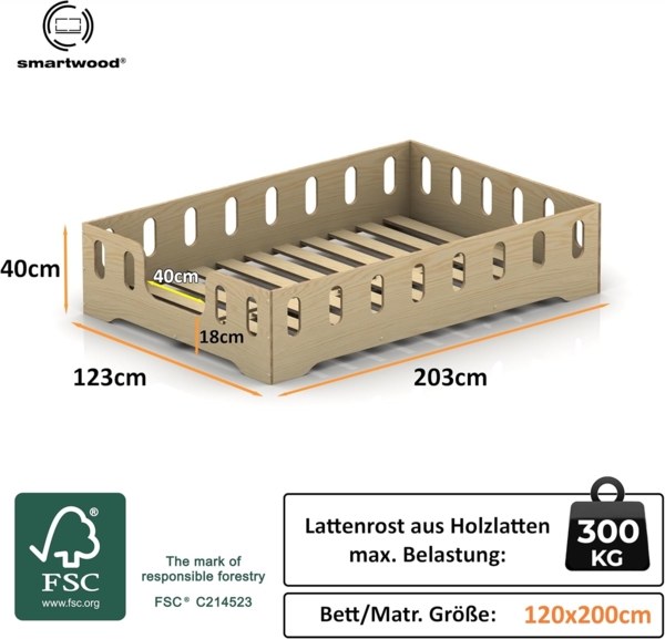 smartwood Kinderbett Bodenbett 120x200 mit Rausfallschutz & Lattenrost - Blau - Kinder Montessori Bett TILA 2B mit glatten Kanten - Betten für schnelle Montage - Bis 300 kg belastbar Bild 2