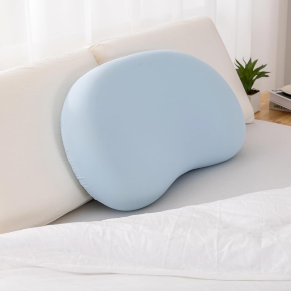 EGO HOME Memory-Schaum Kissen 65x40 cm gegen Nackenschmerzen - Ergonomisches Nackenkissen, Kopfkissen 40x65 cm, Nackenstützkissen für Seitenschläfer, Rückenschläfer, Bauchschläfer