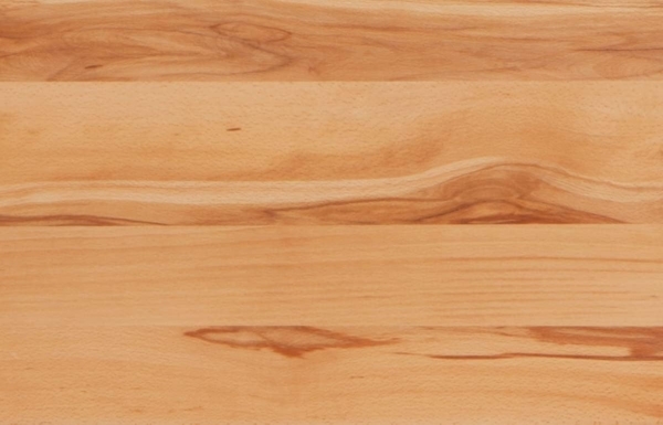 Hasena Lounge Spezia 160x210 Wildbuche natur, geölt - Fusshöhe 25 cm Massivholzbett Bild 6