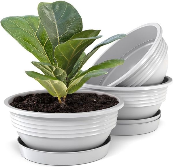 Plastard Pflanzschale 3er, 5er Set Blumenschale verschied. Größen Pflanzgefäß aus Kunststoff (Set, 3 St, Pflanzschale mit Untersetzer), UV-beständig, witterungsbeständig, Optionale Drainagelöcher