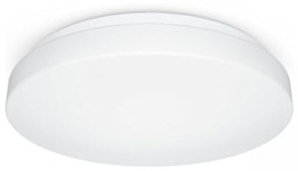 Steinel 069735 RS PRO P2-R FL. S NW LED-Wand- / Deckenleuchte