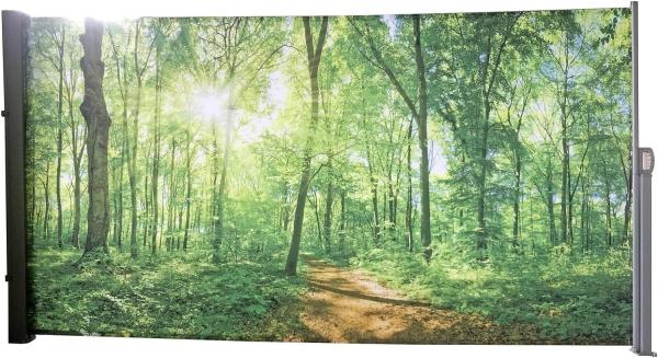 Seitenmarkise Motiv Waldlichtung grau 160x300 Markise Seite Balkon Sichtschutz