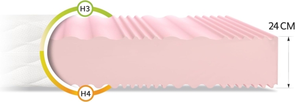 FDM Matratze 80x200 cm Härtegrad H3 H4 Höhe 24 cm Kaltschaummatratze Doppelseitige Rollmatratze HR-Schaum 7 Komfortzonen mit Hypoallergenem Waschbarem Jersey Bezug Oeko-Tex Verdura MAX Plus Bild 2