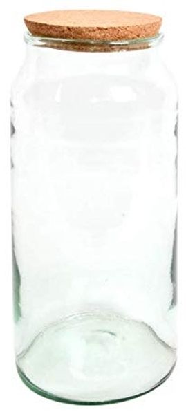 Pflanzen Terrarium aus Glas 10 L Deko Gewächshaus