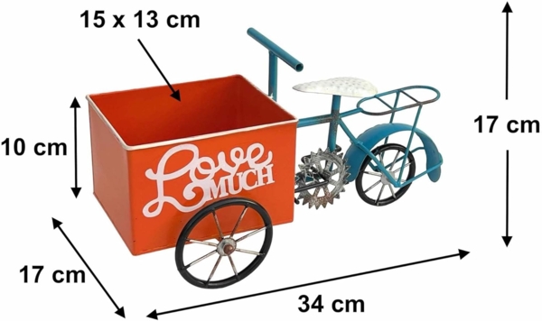 DanDiBo Blumenfahrrad für Garten Metall Stehend Fahrrad Blau Orange 96530 Pflanzfahrrad Dekofahrrad Blumenständer Bild 2