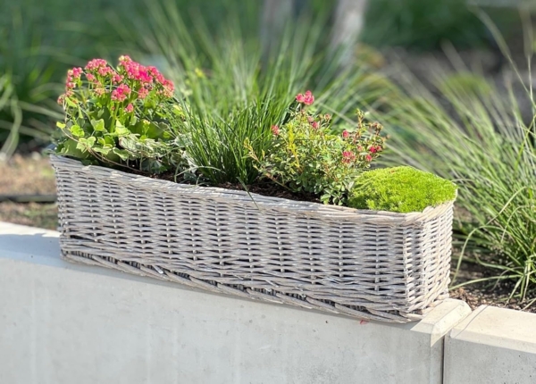 Dekoleidenschaft Blumenkasten aus Rattan "Koboo Grey" 60 cm lang, grau, Balkonkasten, Pflanzkasten (1 St), Pflanzgefäß, Pflanzenkasten, Balkon & Gartendeko für Draußen