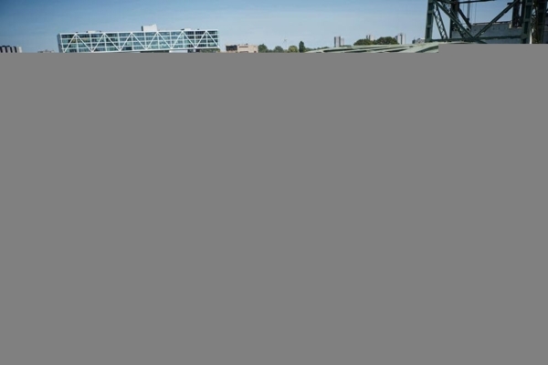 Elho Pflanztopf Greenville Ø 47 x 44 cm living schwarz Bild 7