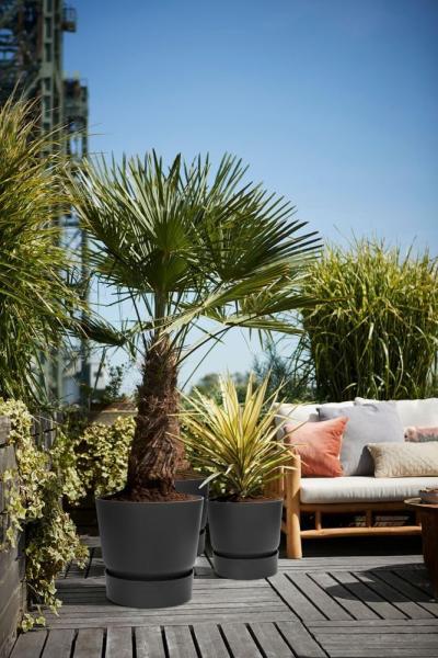 Elho Pflanztopf Greenville Ø 47 x 44 cm living schwarz Bild 6