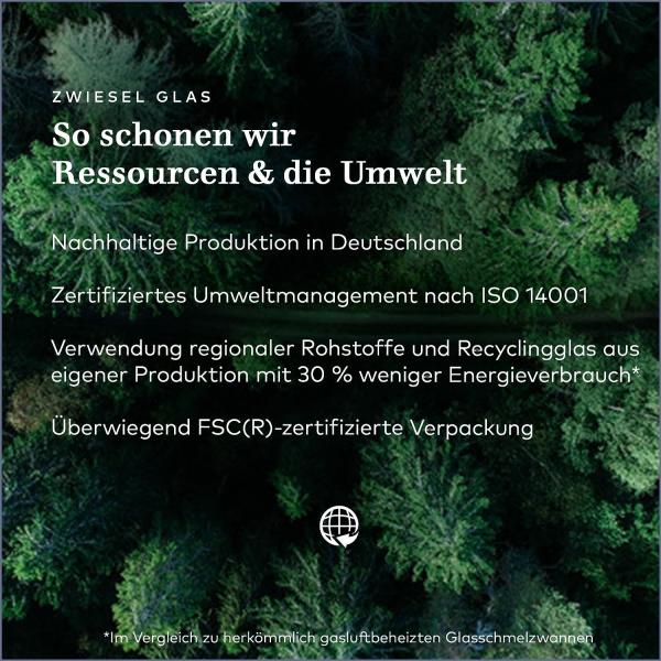 Zwiesel Glas PURE Cabernet Rotweinglas 2er Set Bild 6